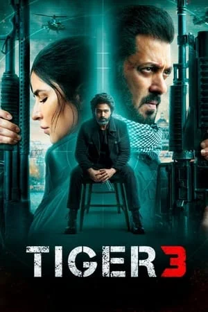 iBOMMA Tiger 3 2023 Hindi Full Movie WEB-DL 480p 720p 1080p Download